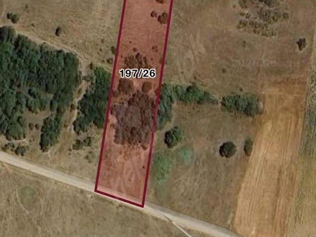3968 M2 5000 LİK PLANDA KADASTRO YOLU OLAN SİLİVRİ BALABAN