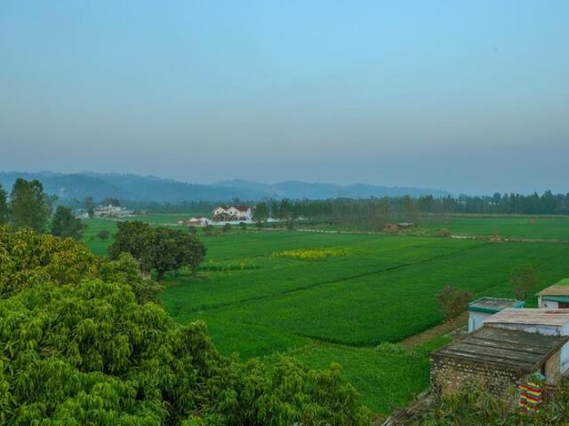 3969 Sq.Yd. Plot in Ramnagar Nainital Listing ID: #9315