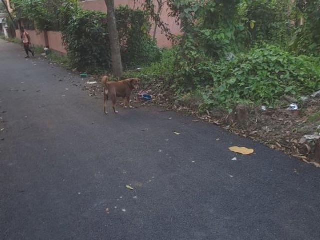 3960 Sq.Ft. Plot in Malancha Bazar Kolkata Listing ID: #10172