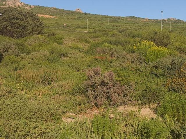 398 m² Land available in St Helena Views