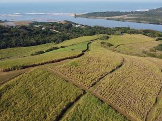 39.7 ha Land available in Tugela Mouth