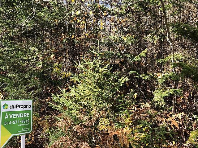 39 000$ Terrain Résidentiel à Vendre à Rawdon