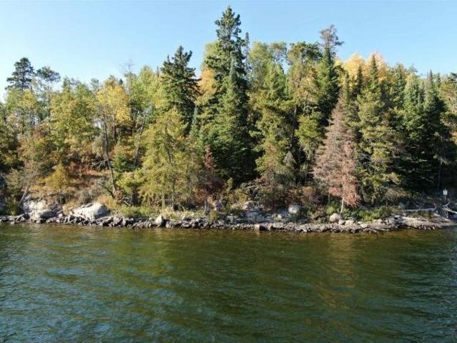 39 Molloy DR