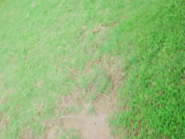3 Marla Plot For Sale In Shahjamal Lahore Park View City ID 71734