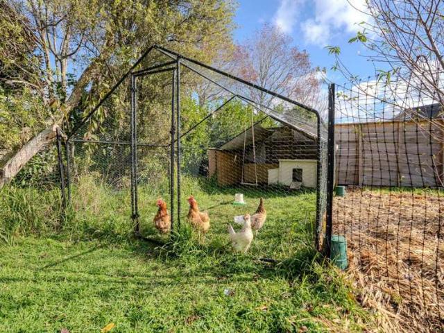 3 Millers Lane, Kerikeri, Far North