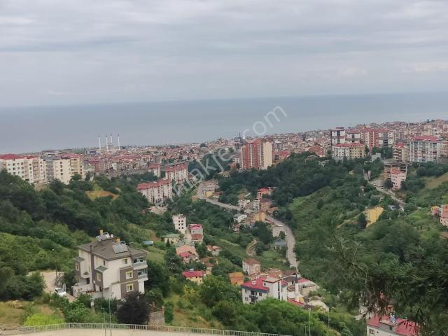 3 Nolu Erdoğdu Işık Sitesi Önü Açık Masrafsız Satılık Daire