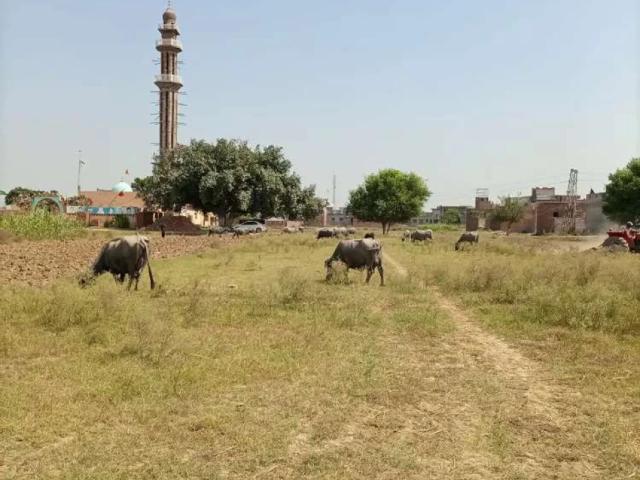 3 Acre Land Available For Sale Sialkot ID 27890
