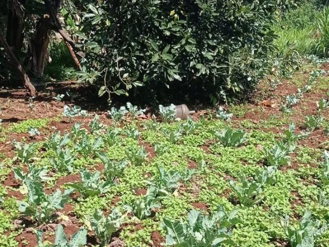 3 Acre Land For Sale In Kikuyu Town