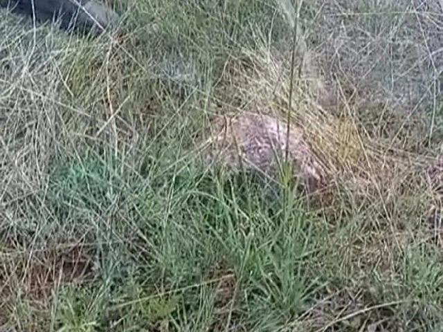 3 ADET KUYULU TARLA
