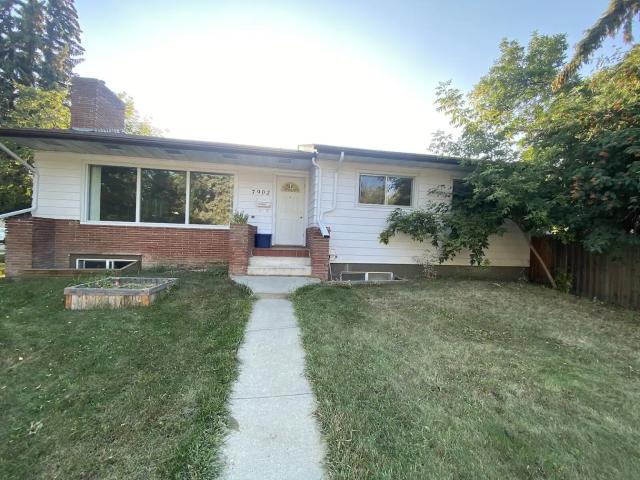 3 Bdrm basement – Steps to Campus & LRT!