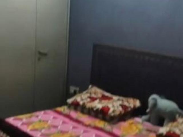 3 Bedroom 1350 Sq.Ft. Builder Floor in Sector 49 Faridabad Listing ID: #9962