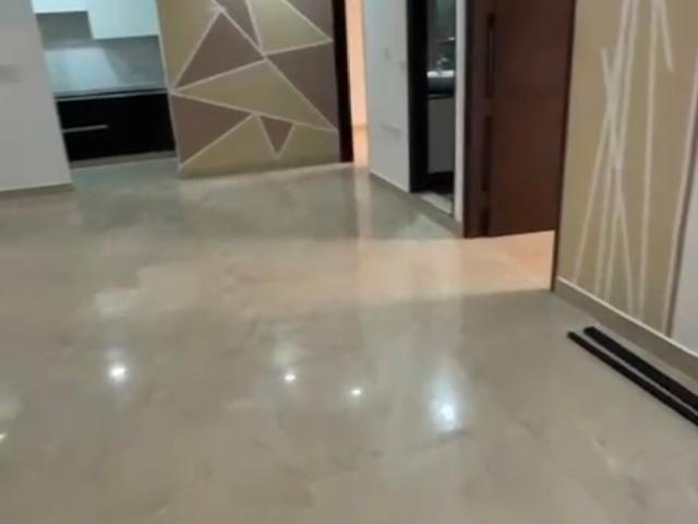 3 Bedroom 1505 Sq.Ft. Builder Floor in Saket Delhi Listing ID: #9546