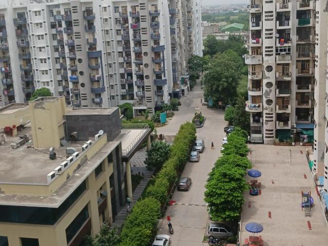 3 Bedroom 1620 Sq.Ft. Builder Floor in Green Fields Colony Faridabad Listing ID: #8822