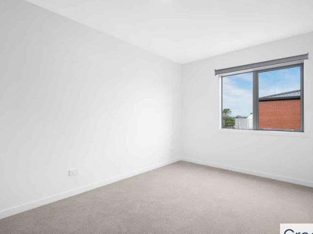 3 Bedroom + 1 Bath + 1 carpark brand new unit at Potiki Apartment Cat friendly