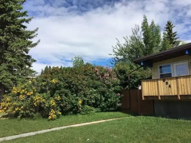 3 Bedroom Apartment Calgary AB 104362741