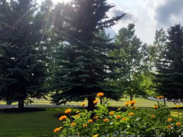 3 Bedroom Apartment Calgary AB 105135306
