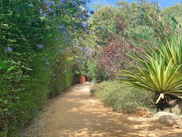 3 bedroom apartment for rent in Alicate Playa, Marbella, all bills included