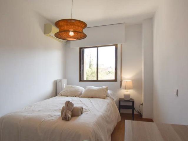 3 bedroom apartment for rent in Ciudad Universitaria, bills included