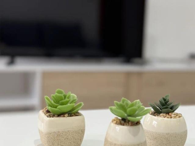 3 bedroom apartment for rent in Ciutat Jardí