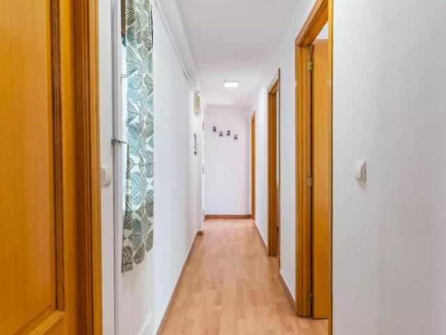 3 bedroom apartment for rent in El Grau, professionals only