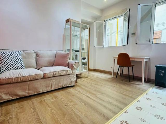 3 bedroom apartment for rent in Embajadores