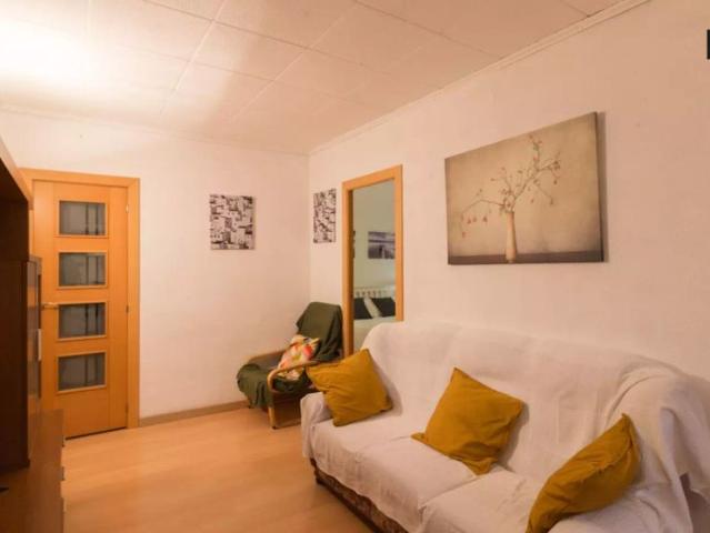 3 bedroom apartment for rent in Vilapicina i la Torre Llobeta, only students