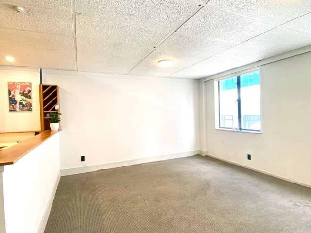 3 Bedroom Apartment in Te Aro