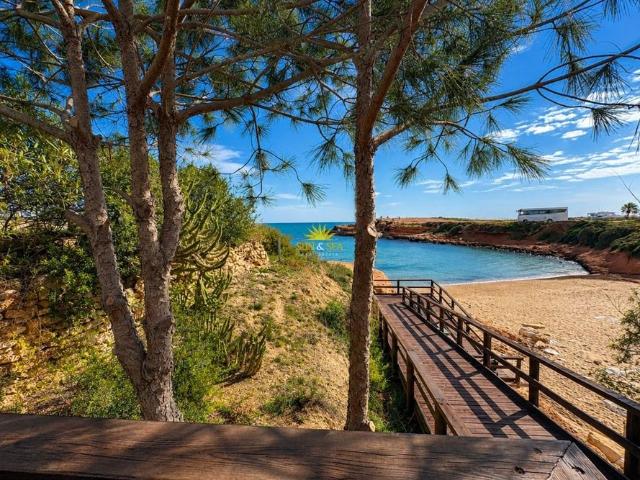 3 BEDROOM APARTMENT IN TORREVIEJA