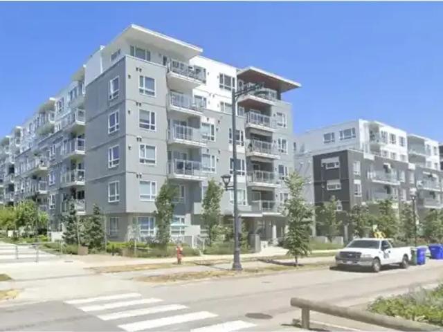 3 Bedroom Apartment Surrey BC 103542331