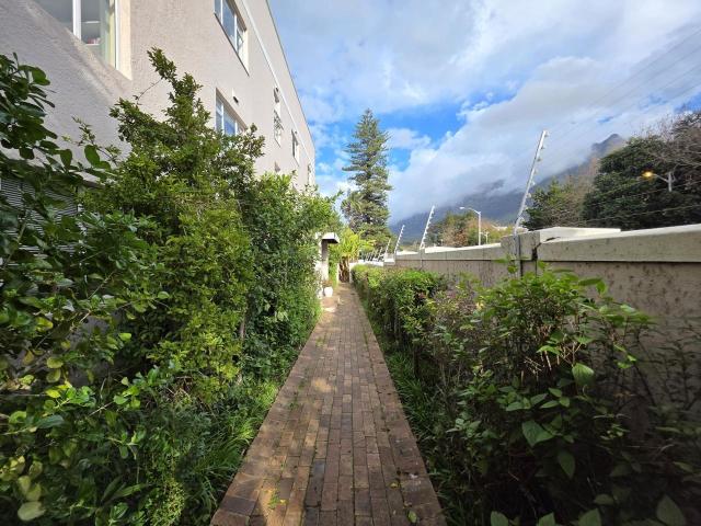 3 Bedroom apartment to rent in Rondebosch, Cape Town