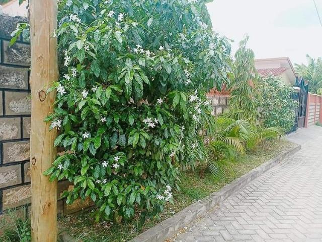 3 bedroom bungalow for sale Mtwapa