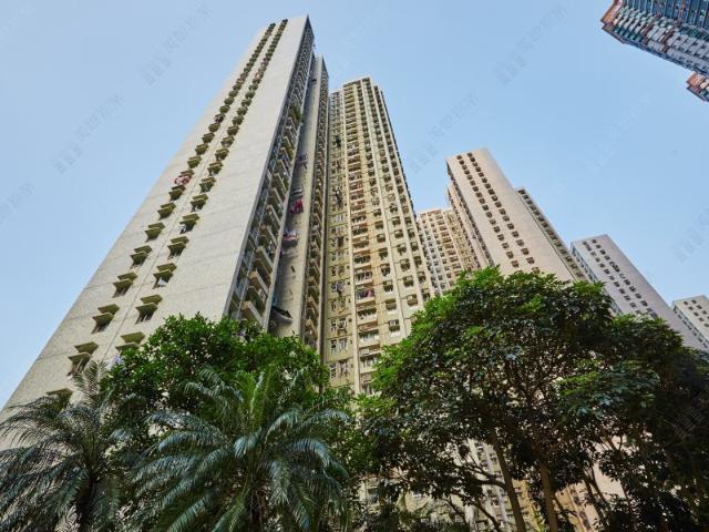 3 bedroom for rent