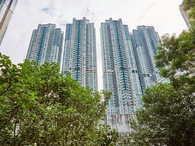 3 bedroom for rent