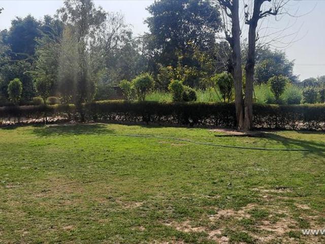 3 Bedroom Farm House for sale in Bhondsi, Gurgaon P46123