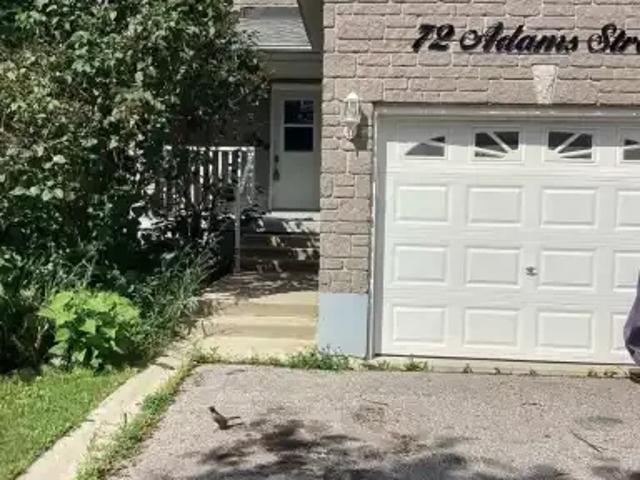 3 Bedroom House Bradford West Gwillimbury ON 104036365