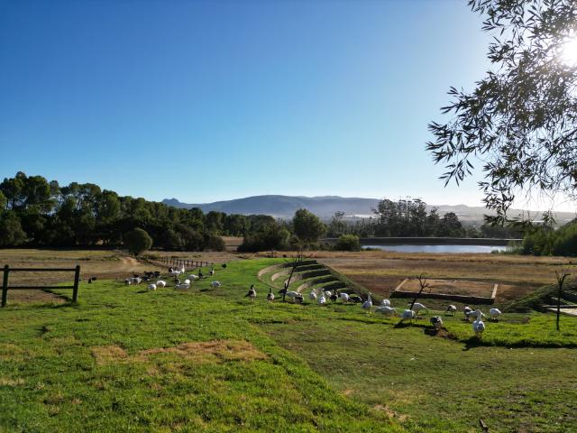 3 Bedroom House For Sale in Diemersfontein Wine and Country Estate