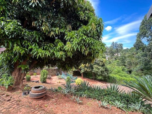 3 Bedroom House For Sale in Modjadji
