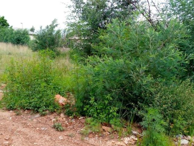 3 Bedroom house for sale in Wildtuin Park, Krugersdorp