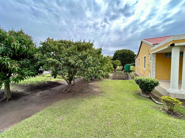 3 Bedroom House in Darnall