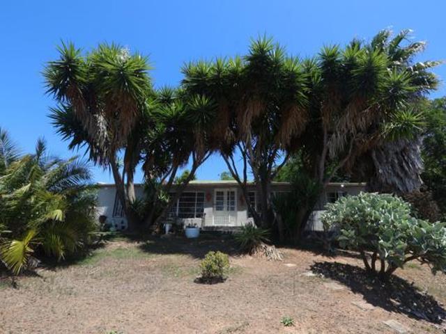 3 Bedroom House in Despatch Central
