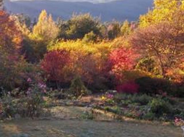 3 Bedroom House in Hogsback