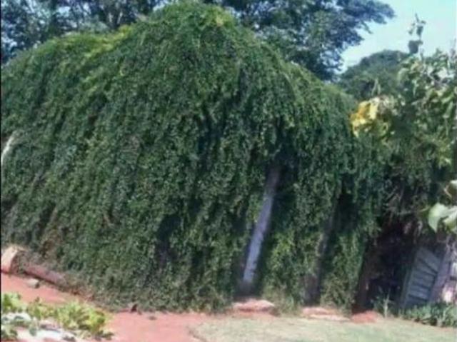 3 Bedroom House in Makwassie