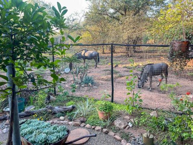 3 Bedroom House in Marloth Park