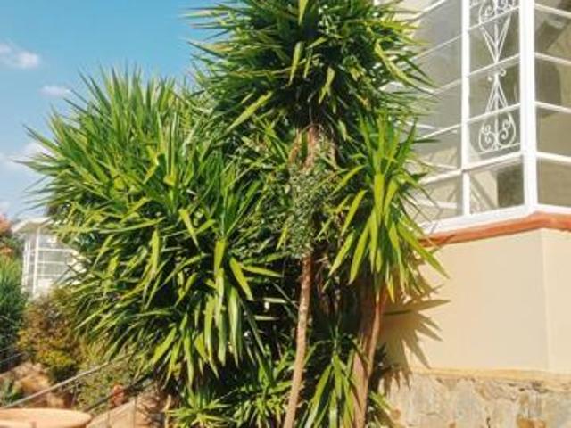 3 Bedroom House in Melville