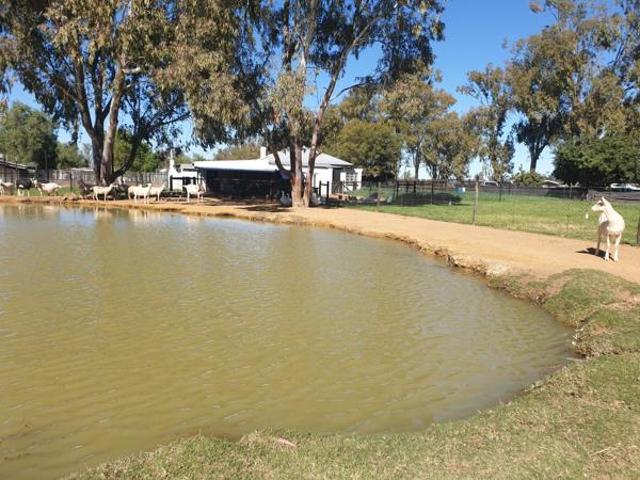 3 Bedroom House in Nieuwoudtville