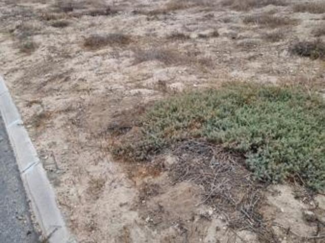 3 Bedroom House in St Helena Views