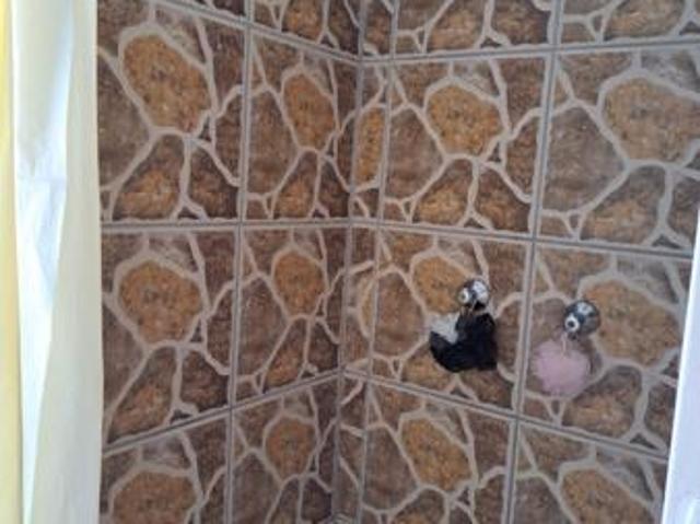 3 Bedroom House in Sterkstroom