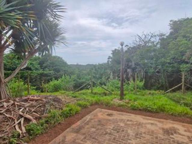 3 Bedroom House in Palm Beach