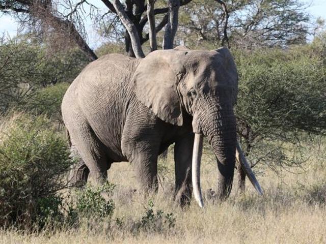 3 Bedroom House in Parsons Game Reserve