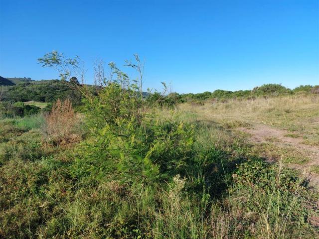 3 Bedroom House in Pienaarstrand